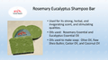 Rosemary Eucalyptus Shampoo Bar